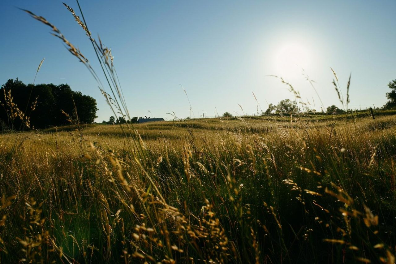 Comment peut-on obtenir une certification en permaculture ?