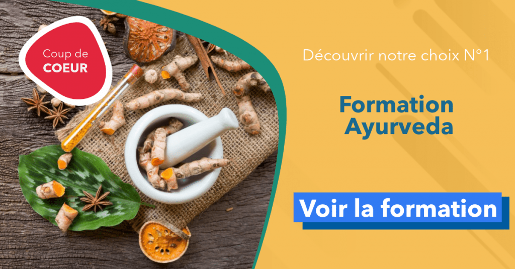 Formation Ayurveda