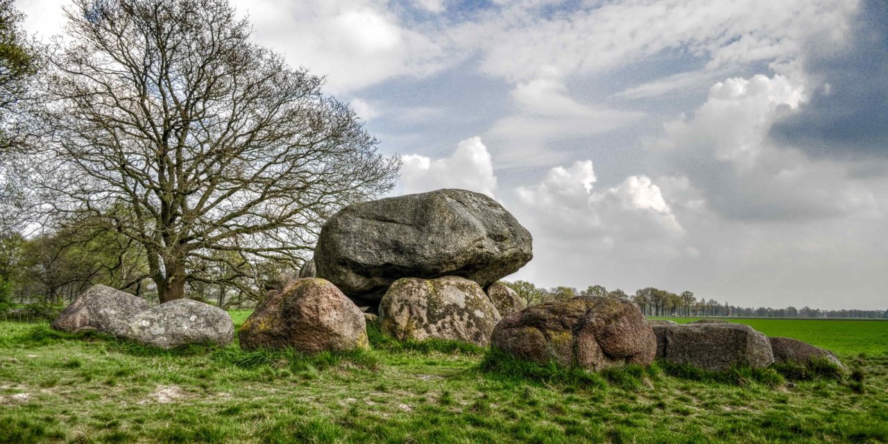 Formation en ligne géobiologie : Avis