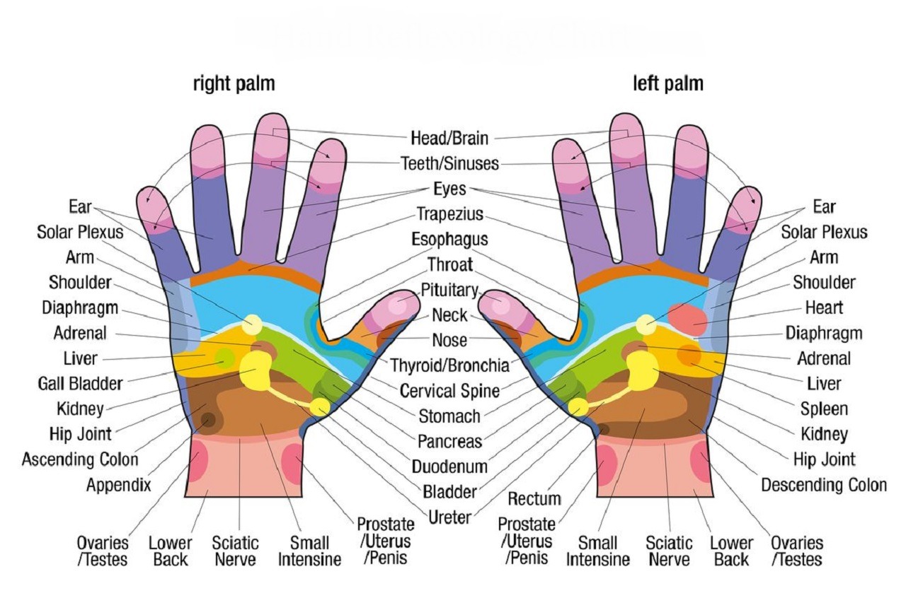 Les méthodes douces en médicine : la réflexologie