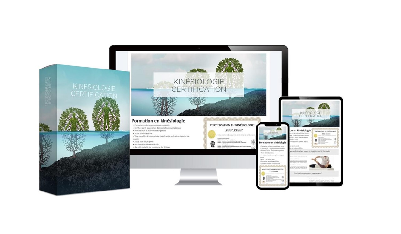 Formation en kinésiologie