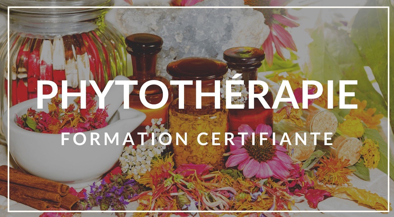 Meilleures formations en ligne Phytothérapie :  Comparatif &amp; Avis