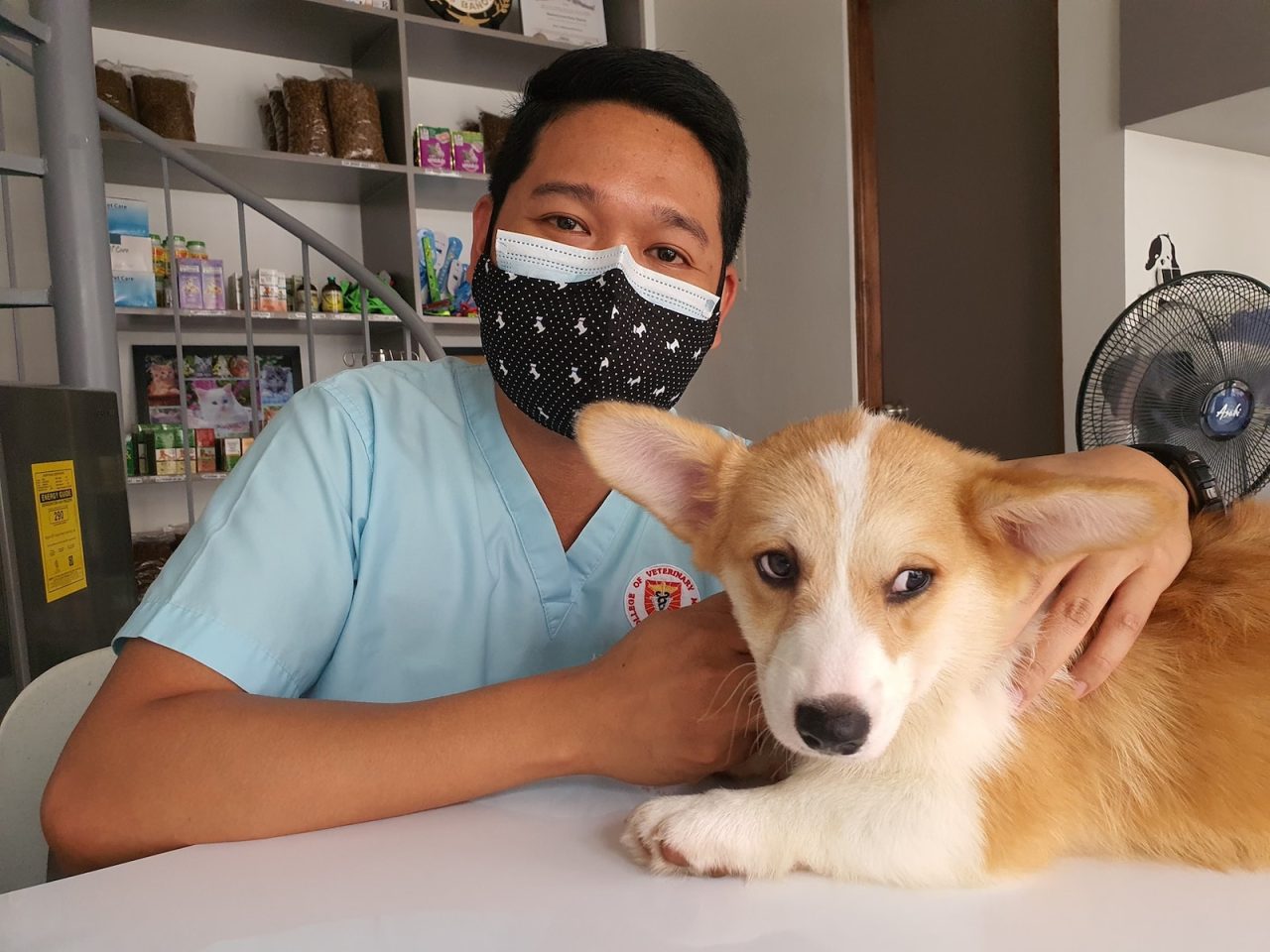 Guide complet pour devenir vétérinaire&nbsp;: Parcours et formation