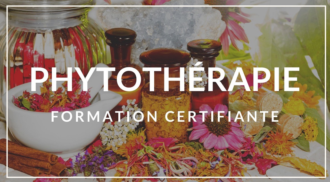 cours phytotherapie